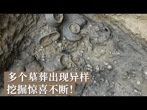 大墓发掘过半 青铜器陆续出土 四个墓主人竟都有高贵的身份？《探索·发现》陈庄——唐口遗址发掘记（2）丨 中华国宝