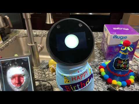 Black Jibo - 1st Birthday (Bot Birthday Blowout! 🍰)