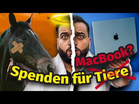 Here's where 100,000 donations go to animal rescuer Ali Safari: We have a statement! 🐴💸