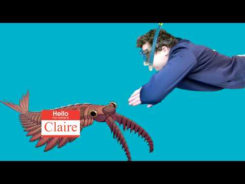 What if CAMBRIAN ORGANISMS had Common Names?