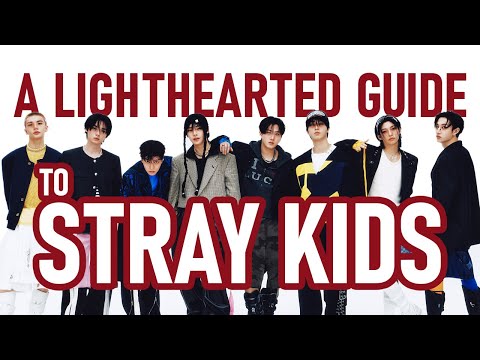 A LIGHTHEARTED guide to STRAY KIDS