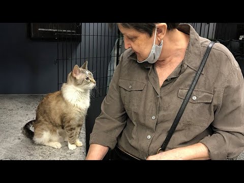 When the Cat Gods have smiled upon you ❤️