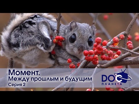 Момент - Фильм 2. Между прошлым и будущим - Документальный фильм