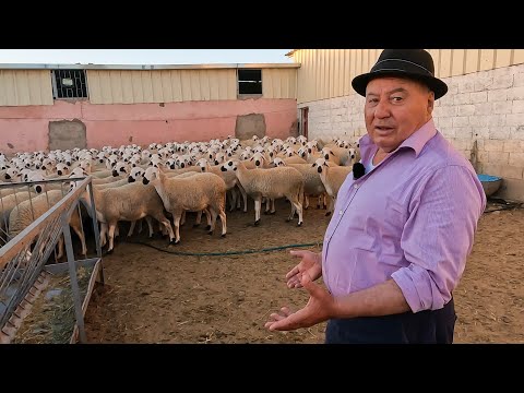 إخوان خليل أكتر من 600 حولية و 150 حولي لي غادين يقدمو هاذ السنة