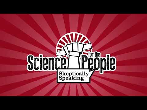 268 - Sonic Wonderland