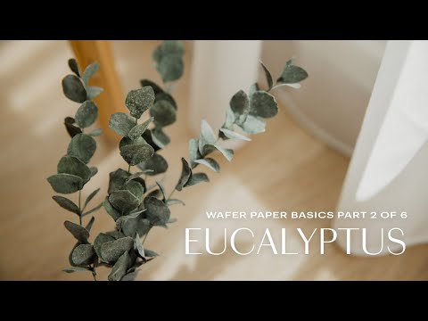 Wafer Paper Flowers Basics for Beginners: Eucalyptus (Part 2/6)