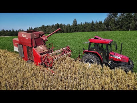 Жнива ПРИЦЕПНИМ КОМБАЙНОМ 1957р! УКРАЇНЕЦЬ на Фермі у Швейцарії