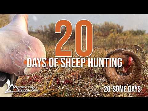 Alaska Dall Sheep Hunt | Brooks Range | 20-Some Days, Modern Day Mountain Man with Billy Molls