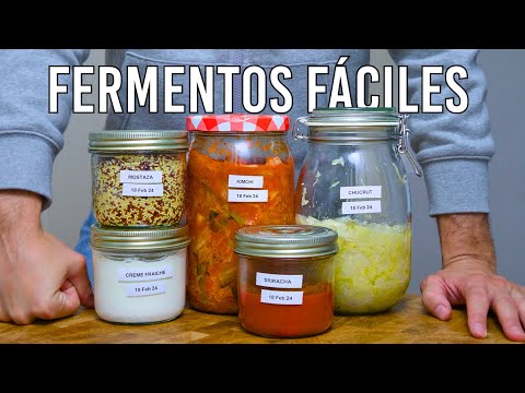 5 fermentos para principiantes