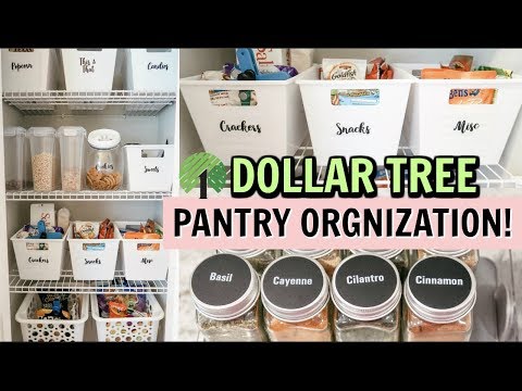 DOLLAR TREE PANTRY ORGANIZATION // CLEAN & ORGANIZE WITH ME 2019 // Amy Darley