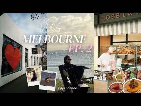 墨爾本vlog｜平價Omakase 🍣 淋了一个晚上的雨只为了🤯 必去的小众景点｜2025 Melbourne VLOG (part2)