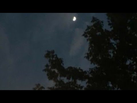 የሪዝቅ ህልሞች ምን ምን ናቸው?