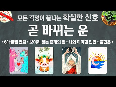 [타로] 곧 있을 좋은 소식 💫 소름 돋게 잘 맞는 예언 🍀 모든 게 잘 풀릴 조짐을 알려드려요