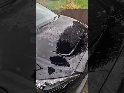 Ceramic Coating On My MG4 EV #ev #automobile #carcleaning