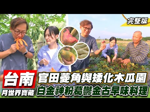 《詹姆士出走料理》台南月世界寶藏食材 官田烏金菱角、左鎮葛鬱金與矮化木瓜驚人好滋味 -第238集-2023/12/10