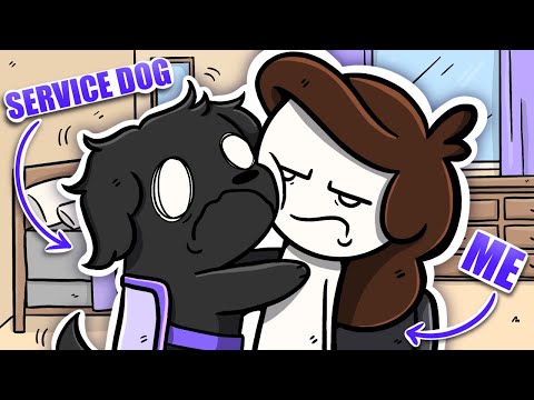 What It's Like to Have a Service Dog