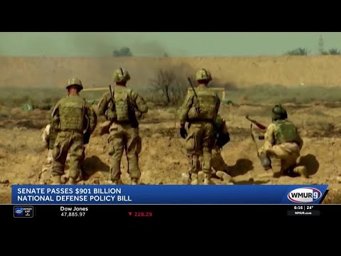 U.S. Senate passes $901 billion national defense policy bill