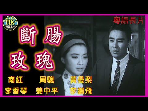 《粵語長片》斷腸玫瑰 (1966)｜南紅｜周驄｜黃曼梨｜李香琴｜姜中平｜李鵬飛｜導演：莫康時｜香港電影｜香港粵語電影｜粵語中字