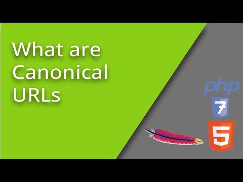 What Are Canonical URLs