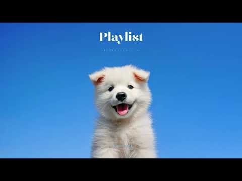 텐션UP-! 🍀😎 하루 종일 듣기 좋은 노래 진짜 좋은 노래 모음 신나는 팝송 playlist | 중간광고없음❌️