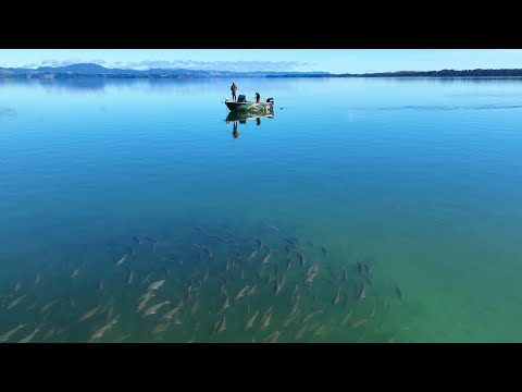 The Boys Find the Mother Lode