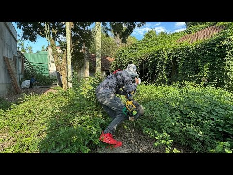 Explore the ancient house of a helpless woman against invading weeds