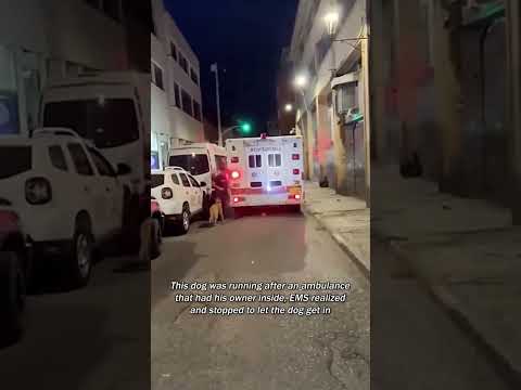 Loyalty at its finest!🥹 “Lifeline” by Piano Pill out now on streaming platforms! 🎹💊