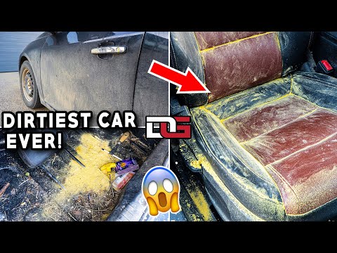 Deep Cleaning The Most INSANELY Dirty Car! | The Detail Geek