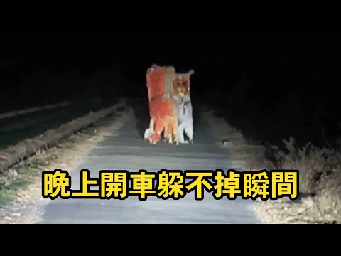 If you can’t brush it during the day, you can’t hide it at night!