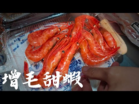 雪地自駕到增毛港 北海道甜蝦的故鄉。這甜蝦現撈的不是冷凍。