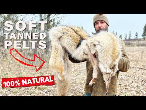 Turn ROAD KILL into a Soft FUR PELT - Natural Tanning 101