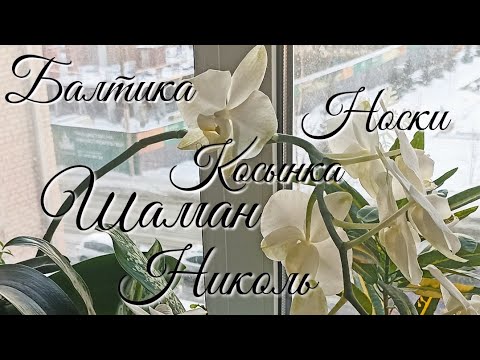 Я всё за тебя решу 2: результаты игры. Готовая работа и ещё один старт