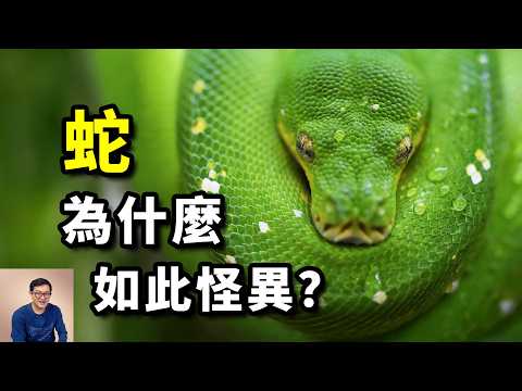 The origin of Snake is still an unsolved mystery #animal #biology #snake