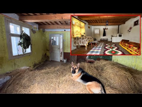 Found the old House. Reconstruction. Before and After