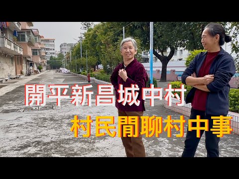 開平Kaiping 新昌中路的西寧里七條村，都是以“甄氏”宗親聚居爲主的百年古村。