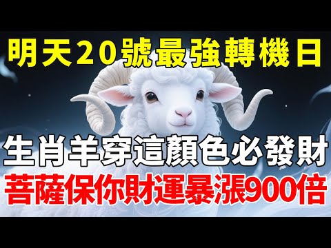 生肖羊必看！百年難遇，明天12月20號，農曆冬月初一是「最強轉機日」，你穿這顏色必發財，菩薩保你財運暴漲900倍，再倒楣也能逆天改命！【慧安說禪】#生肖 #財運 #運勢 #屬相 #風水 #命理