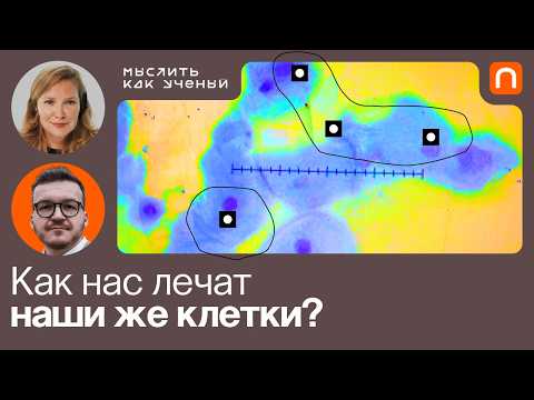 Диагностика, терапия и контроль онкозаболеваний — Ивар ft. Евгения Логачева| Мыслить как ученый