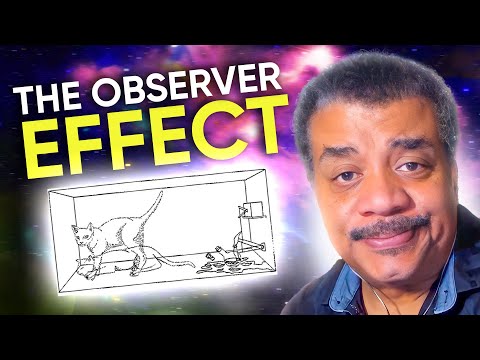 What is Schrödinger's Cat? | Neil deGrasse Tyson Explains...
