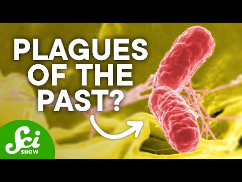 6 Mysterious Disease Outbreaks Through History