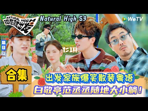 【现在就出发 第3季】粤语猜词合集：王安宇粤语不够普通话来凑，贾冰秒get黄景瑜描述的费玉清！ | Natural High S3#现在就出发3#综艺#沈腾#范丞丞#王安宇#贾冰#黄景瑜#金晨#白敬亭