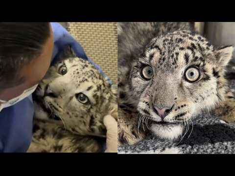 凌小蟄：我原以為我只能就地絕望地等待死神的到來…