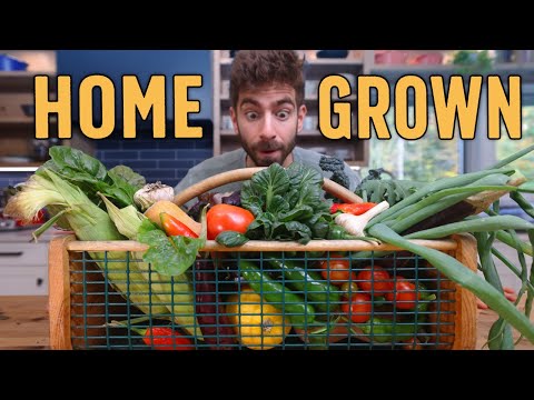 How I Became Self Sufficient in 3 Years (almost*)