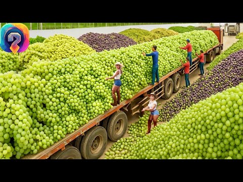 Как фермеры собирают миллиарды тонн сельскохозяйственной продукции по всему миру! Гонка на урожай!