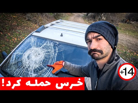 کمپینگ انفرادی شبانه؛ یکی از ترسناکترین تجربههام