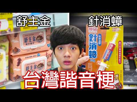 【尊】這些是看了會廢到笑的「台灣諧音梗」! ? 叫天天不應,叫哥哥布林 ! !【第二頻道】