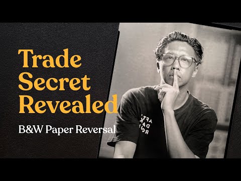 Black and White Paper Reversal made easier