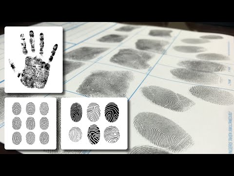 The History of Fingerprints