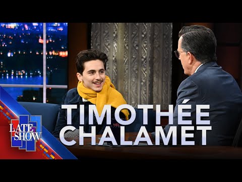 "Sensitive Enough To Be Great, Smart Enough To Protect It" - Timothée Chalamet On Dylan's Mystique