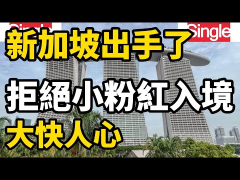 新加坡出手了，拒絕有過黑歷史的小粉紅上飛機入境，連遣返都省了，真的是大快人心