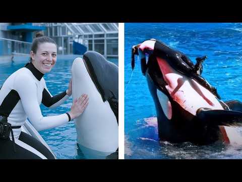 Шоу, которое закончилось смертью: трагедия в океанариуме #3